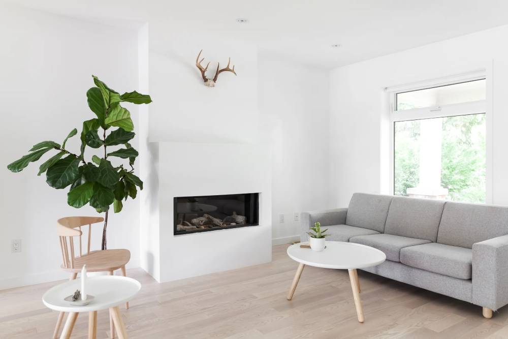 Modern living room with grey sofa, wooden chair, built-in fireplace, and large fiddle leaf fig plant.