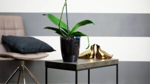 A minimalistic living space featuring a gray chair, a concrete table with a potted orchid, and golden decorative bird figurines.