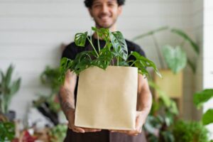 Smiling man holding a monstera plant in a beige pot, surrounded by other greenery.