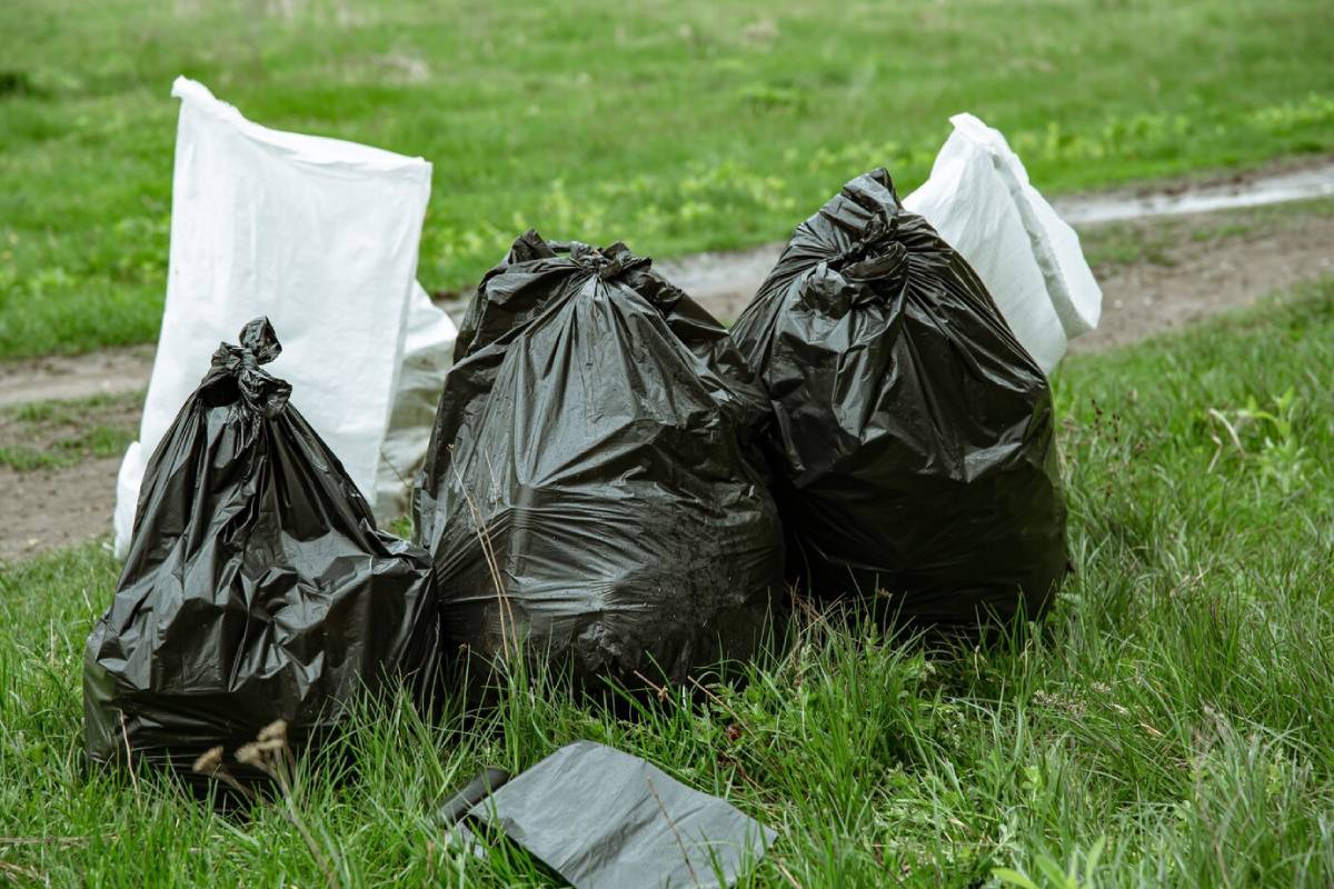 Three black bin bags and one white sack on a grassy area, suggesting discarded or collected waste.  